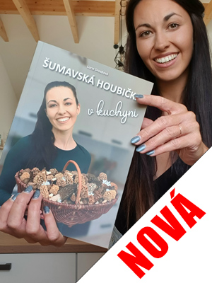 Šumavská houbička v kuchyni