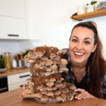 shiitake pěstování